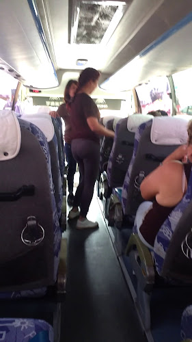 Opinii despre Restaurante Carlos Ramirez Pachacamac în Lurín - Gastronomía y hostelería