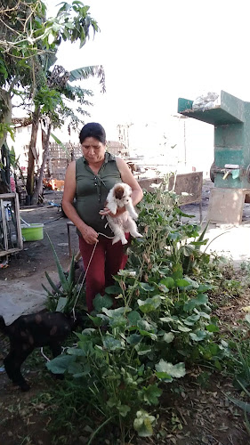 Frutas SHEDAY - Chimbote