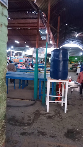 Terminal Pesquero Piura