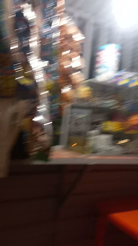 Mercado Santa Anita'