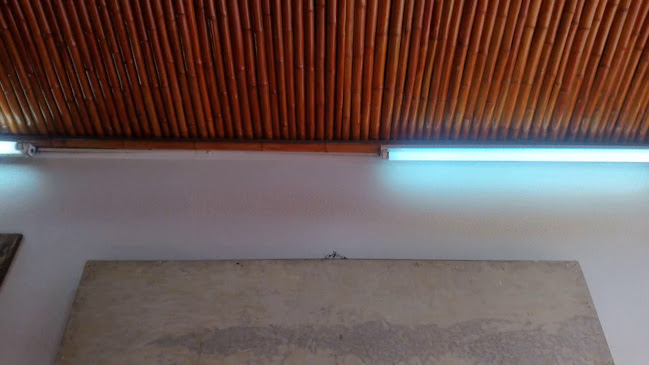 Comentarii opinii despre Restaurante Shambari Campa