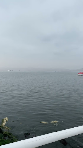 Comentarii opinii despre Chalana Restaurant