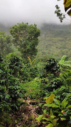 Opinii despre FINCA TASTA în Capiro - Gastronomía y hostelería