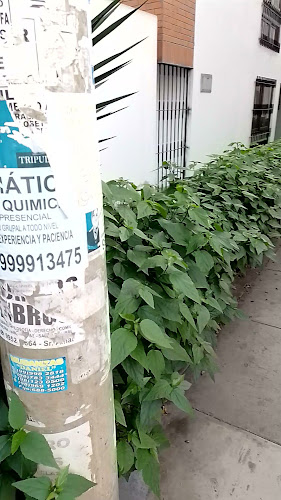 Comentarii opinii despre La Casa de Alberto El Paisita | Sede Los Higos