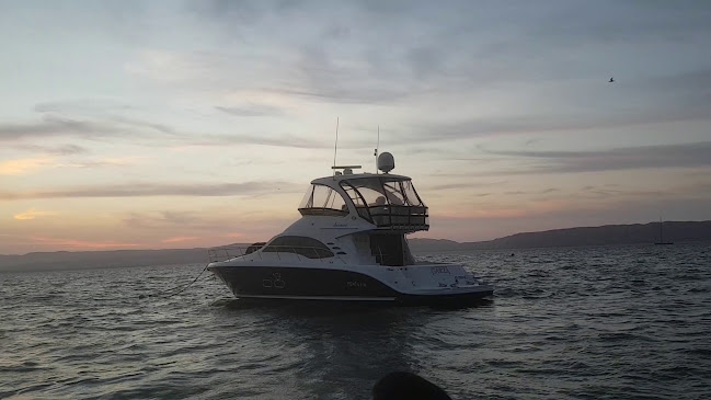 Av. Paracas 173, Urb. Paracas, Pisco, Ica, Pisco, Av. Los Libertadores 173, Paracas 11550