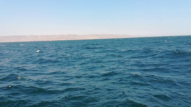 Black Marlin Lodge & Restaurant - Gastronomía y hostelería