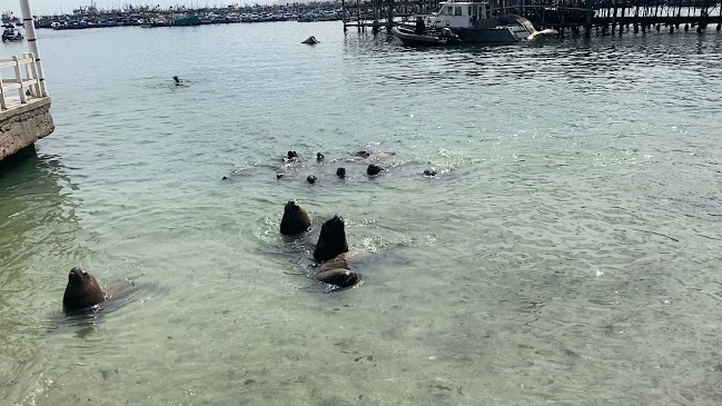 Opinii despre Cevicheria Hikary (cracken) în Ilo - Gastronomía y hostelería