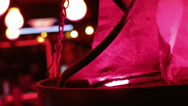 Comentarii opinii despre ORANGE, ROCK CAFE