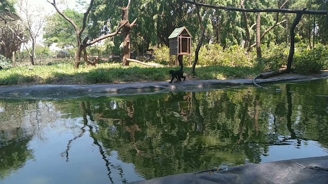 Comentarii opinii despre Santa Cruz de la Sierra