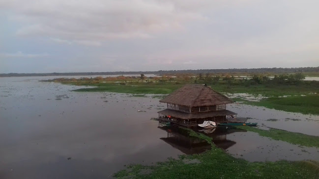 Comentarii opinii despre Dawn On The Amazon Café