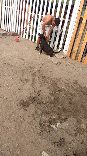 Av. los Dominicos 2501, San Martín de Porres 15109