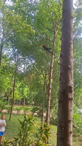 El trapiche Tarapoto Lodge