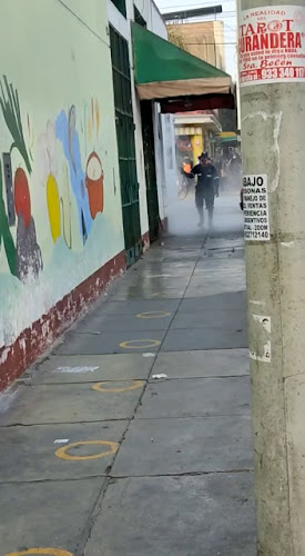 Mercado Lobaton - Lince