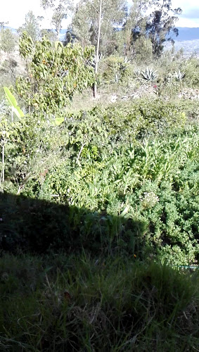 Recreo Campestre La Finca