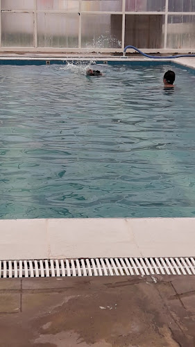 Puma de Piedra - Gastronomía y hostelería