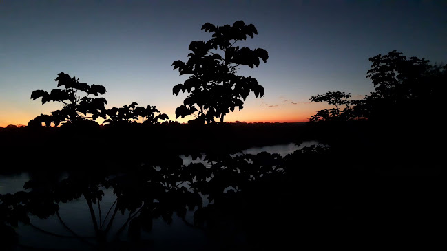 Opinii despre El encuentro del Edén în Puerto Maldonado - Gastronomía y hostelería