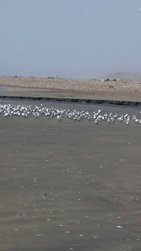 C. Jose Olaya 33, Pacasmayo 13811