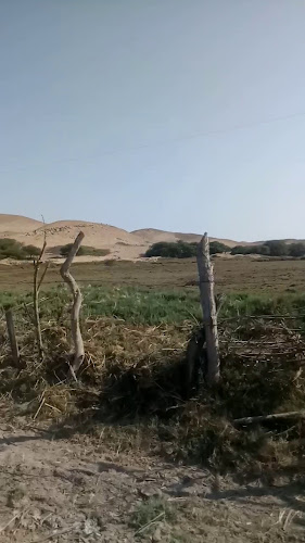 Opinii despre Hamburguesas "El Tío Noé" în Pacasmayo - Gastronomía y hostelería