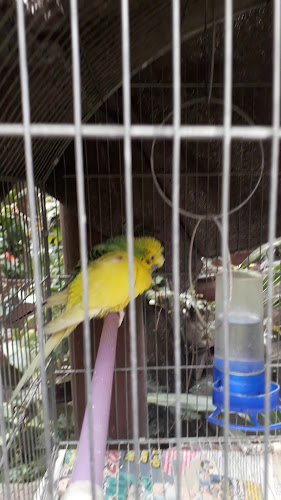 Restaurante Turístico Tres Marías - Santiago de Surco