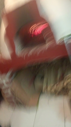 Comentarii opinii despre Restaurante Tambo Del Inka