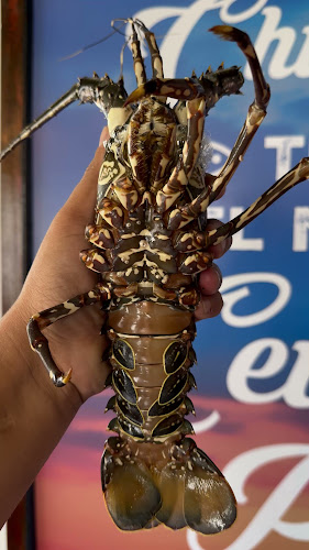 Opinii despre RICO CHIMBOTE în Chimbote - Gastronomía y hostelería