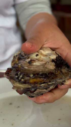 Simbote restaurant - Gastronomía y hostelería