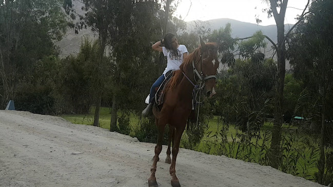 Restaurante El Bosque - Gastronomía y hostelería