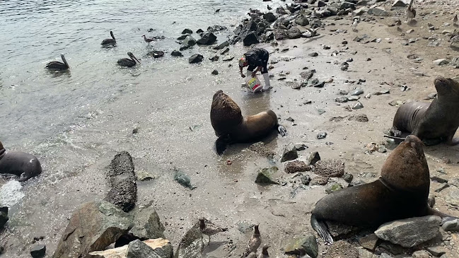 Cevicheria Hikary (cracken) - Ilo