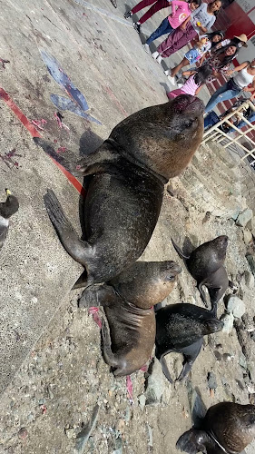 Comentarii opinii despre Cevicheria Hikary (cracken)