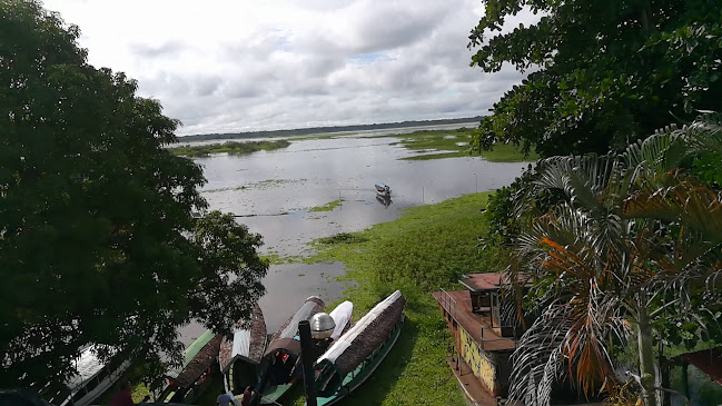 Dawn On The Amazon Café