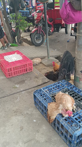 Mercado El Huequito - Gastronomía y hostelería