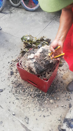 Opinii despre Restaurante El Boñon în Cajamarca - Gastronomía y hostelería