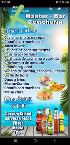 CEVICHERIA MASTUR BAR - Gastronomía y hostelería