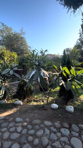 Opinii despre El Encanto de la Huerta în Ica - Gastronomía y hostelería