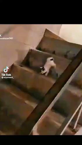 GPF2+G2W, C. Mariscal Sucre, Casma 02661