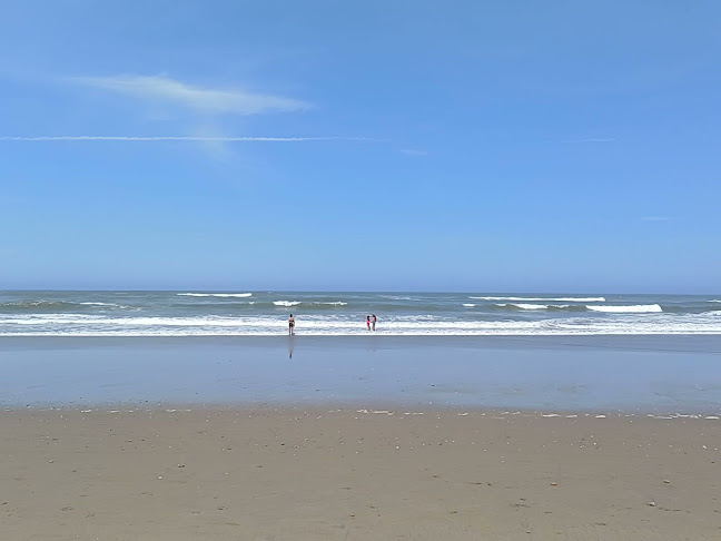 Comentarii opinii despre Ribera del Mar