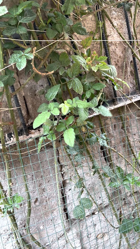 Melgar 117, Arequipa 04001