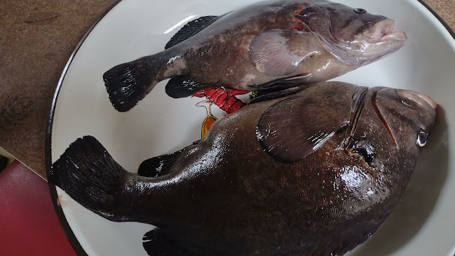 Restaurant Cevicheria Rico Casma - Gastronomía y hostelería