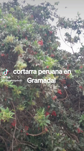 Restaurant Miramar Gramadal Huarmey - Gastronomía y hostelería