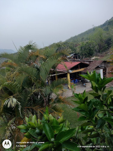 HELADOS ARTESANALES DANNA