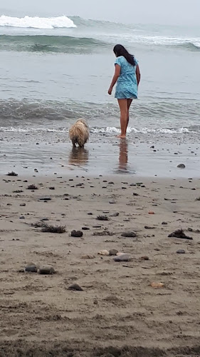 El Generoso Huanchaco - Playa