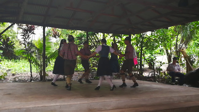 Comentarii opinii despre Restaurante El Típico Pozucino