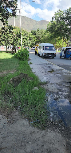 Comentarii opinii despre Tingo María