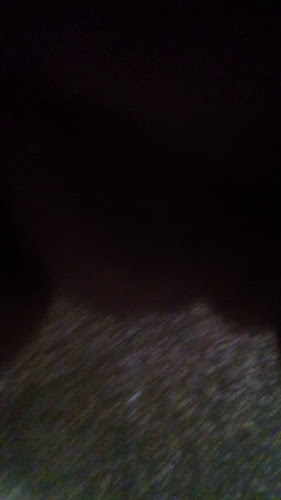 Comentarii opinii despre Panaderia La Norteñita