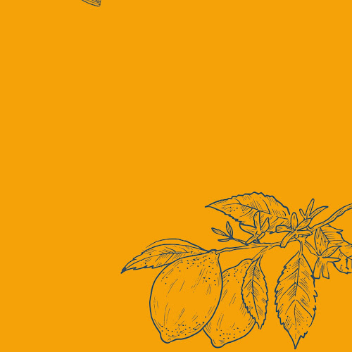 Opinii despre "Polleria Roly Pollito Quillabambino" în Quillabamba - Gastronomía y hostelería