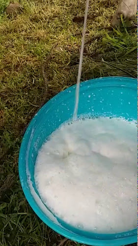 Mercado Cooperativa Elio - Lima