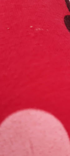 Opinii despre Restaurant Sabor de Santa Adela în Nuevo Imperial - Gastronomía y hostelería