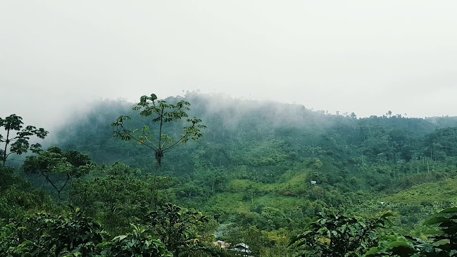 FINCA TASTA - Capiro