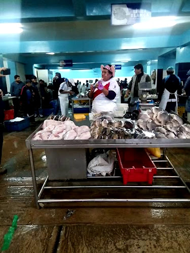 Terminal Pesquero VMT