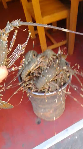 Comentarii opinii despre Puerto Escondido Pacasmayo